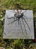 image of grave number 391882